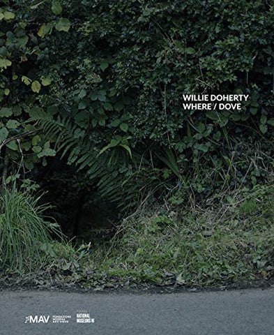 Willie Doherty, Where/Dove