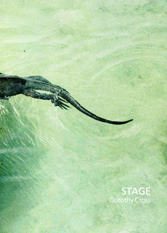Dorothy Cross, Stage
