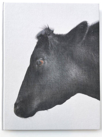 Paul Seawright, Beasts of Burden