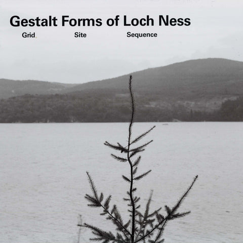Gerard Byrne, Gestalt Forms of Loch Ness